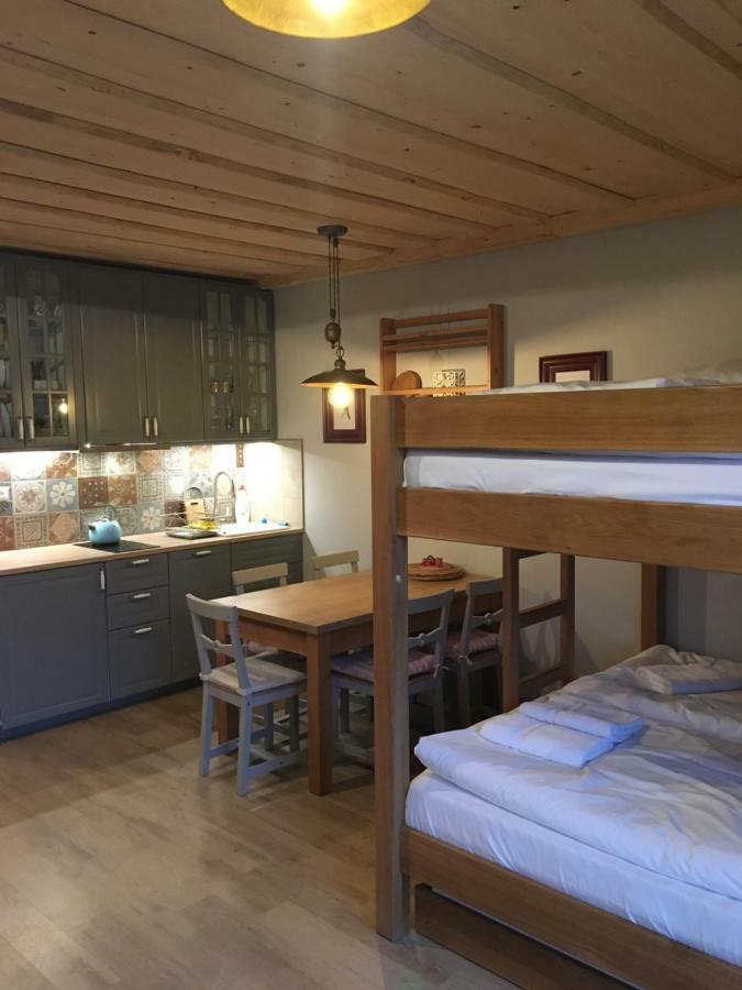 Apartman U Svahu Dolni Morava Exterior photo